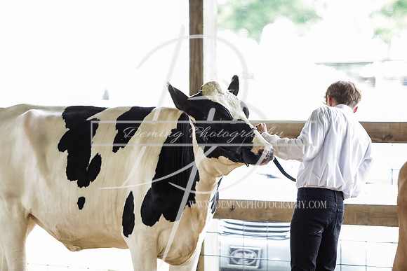 DEM40209