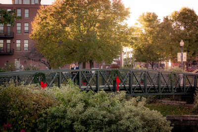DEM_0105-DemingPhotography.com