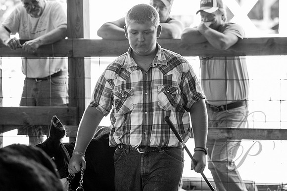 IMG_0746