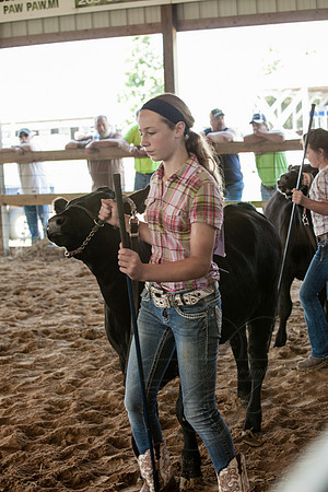IMG_0754