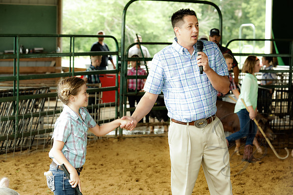 DEM40810