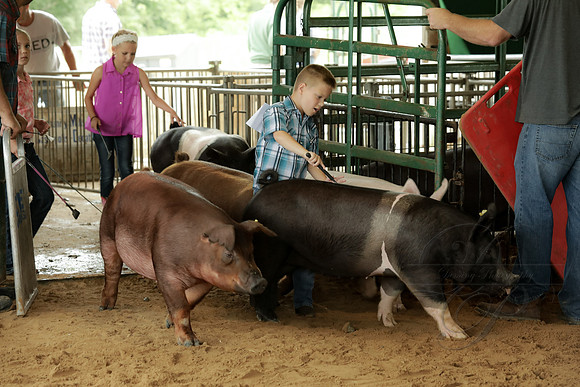 DEM40856