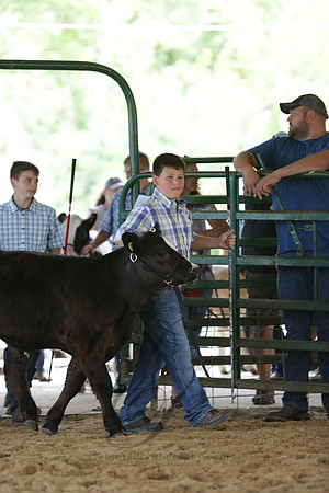 DEM_2461