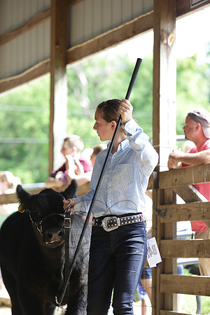DEM_2601