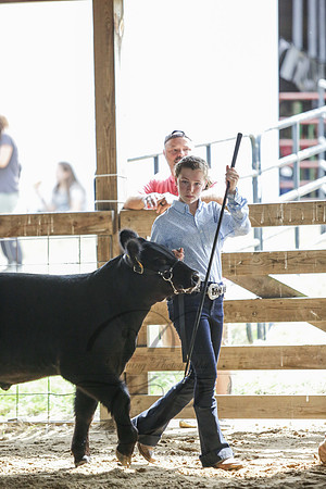DEM_2739