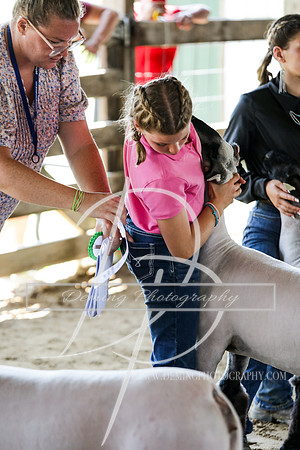 DEM41651