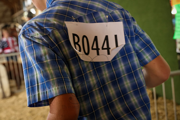 2D8A1013