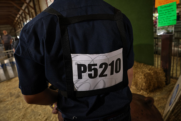 2D8A0828