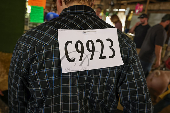 2D8A0838