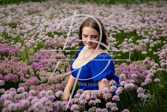 2D8A4480-Web