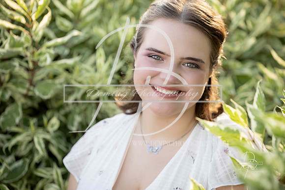 2D8A4594-Web
