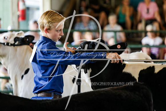 DEM40447